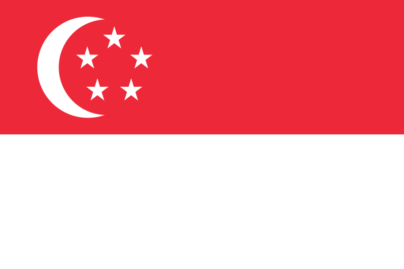 注册新加坡公司